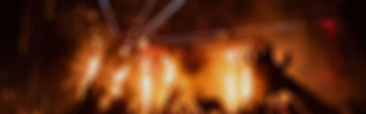 电鸽/趣岛/岛遇免费版